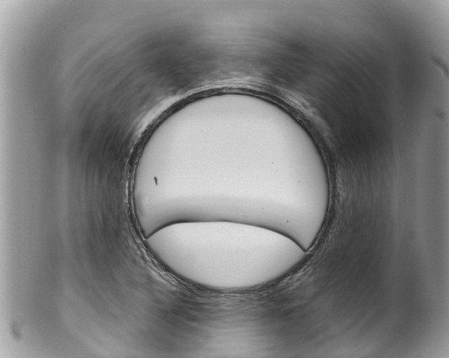X0000100491316200806130746