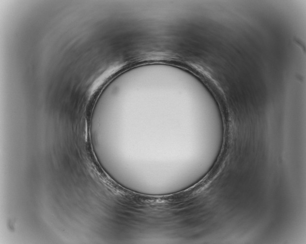 X0000100491317200806130746