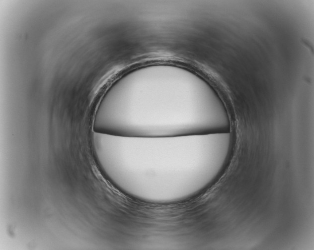 X0000100491318200806130747