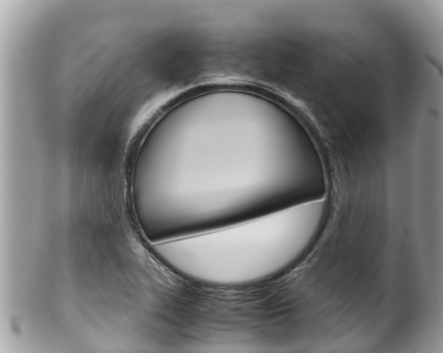 X0000100491319200806130747