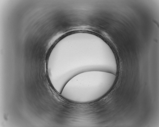 X0000100491320200806130747