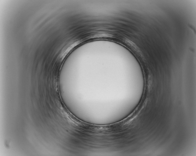 X0000100491321200806130747