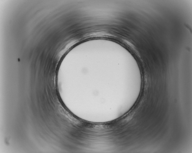 X0000100491322200806130747