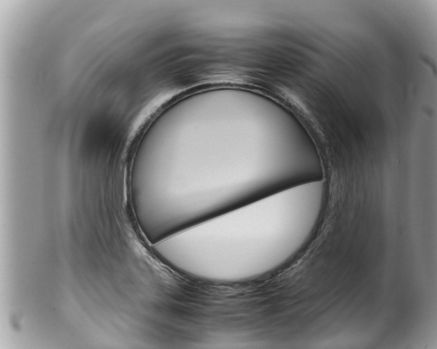 X0000100491323200806130747