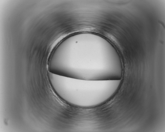 X0000100491324200806130747