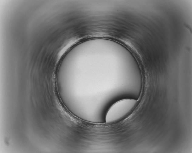 X0000100491325200806130747