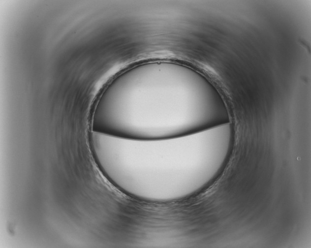 X0000100491326200806130747