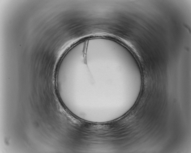 X0000100491327200806130747
