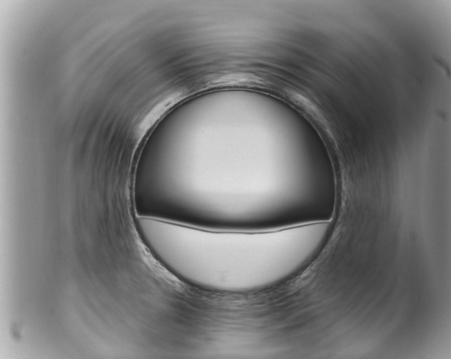 X0000100491330200806130747