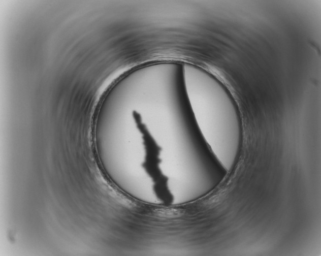 X0000100491331200806130747