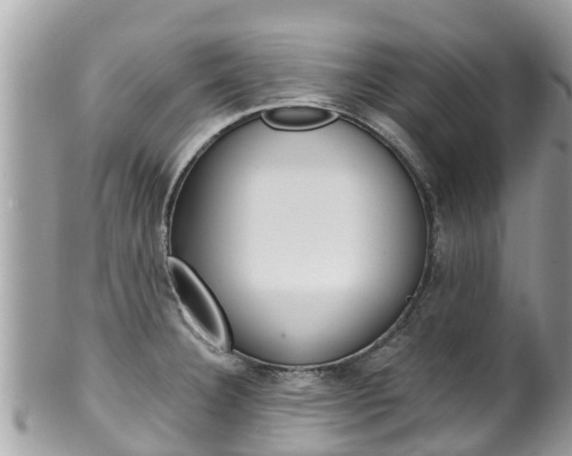 X0000100491332200806130747