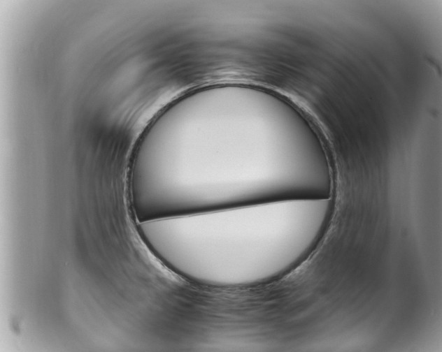 X0000100491333200806130747