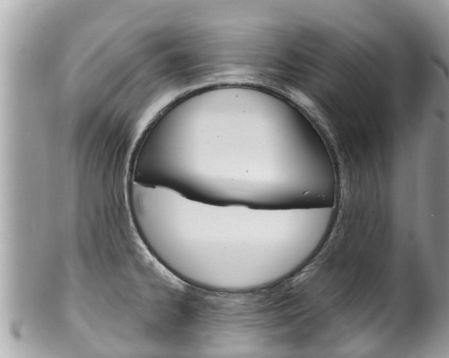 X0000100491334200806130747