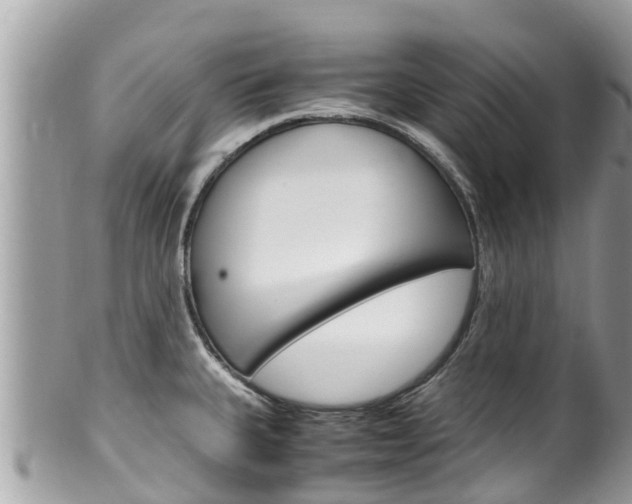 X0000100491335200806130747