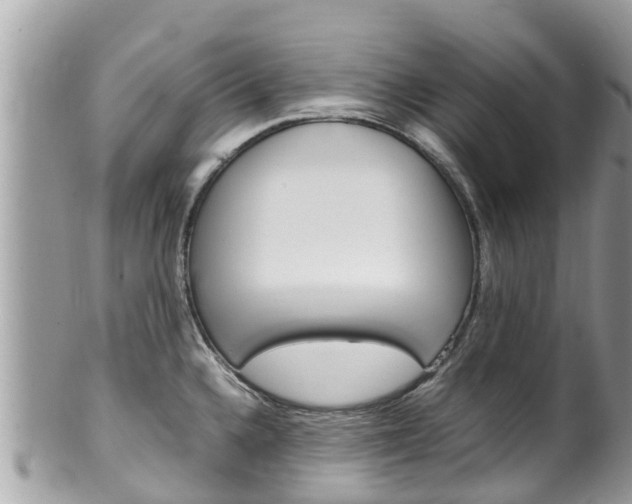 X0000100491336200806130747