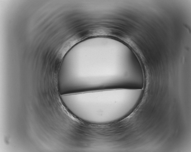 X0000100491337200806130747