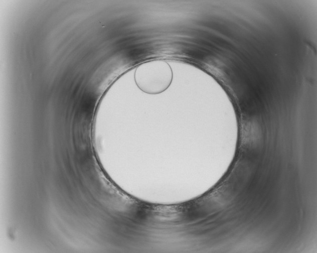 X0000100491338200806130747