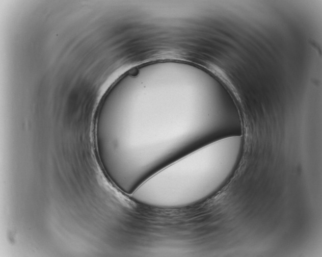 X0000100491339200806130747