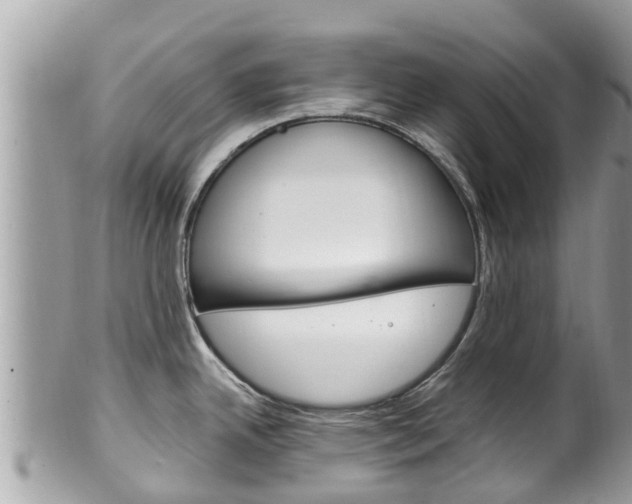 X0000100491342200806130747