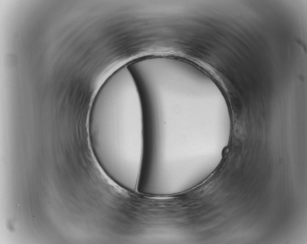 X0000100491343200806130747