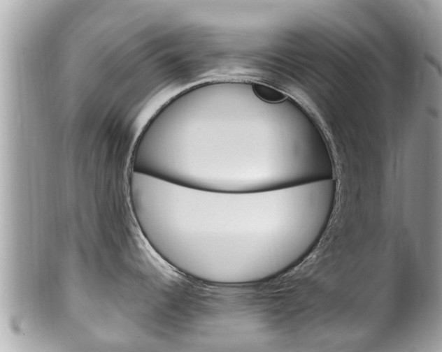X0000100491344200806130747
