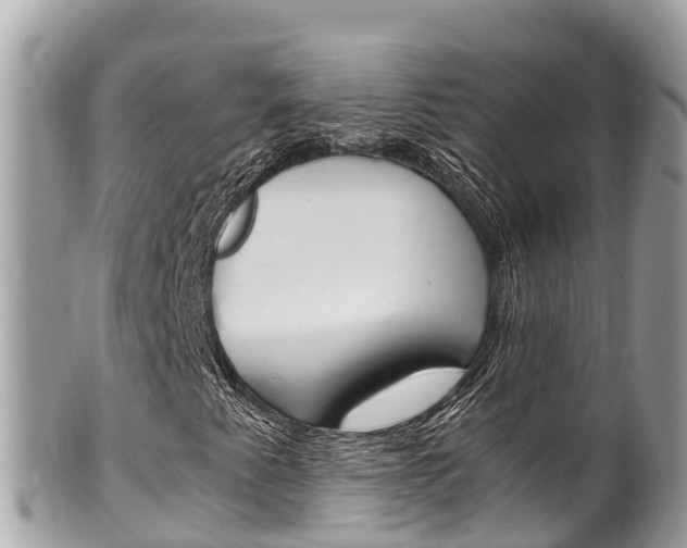 X0000100491345200806130746