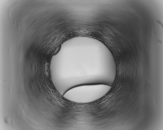 X0000100491346200806130746