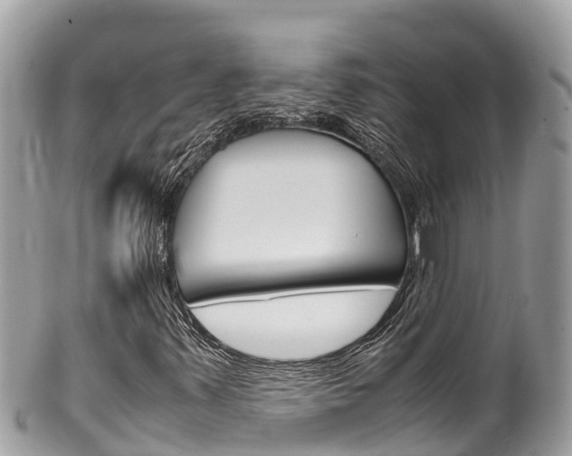 X0000100491347200806130746