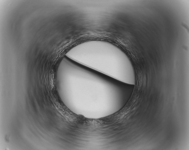 X0000100491348200806130746