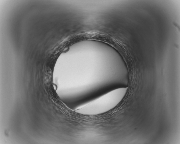 X0000100491349200806130746