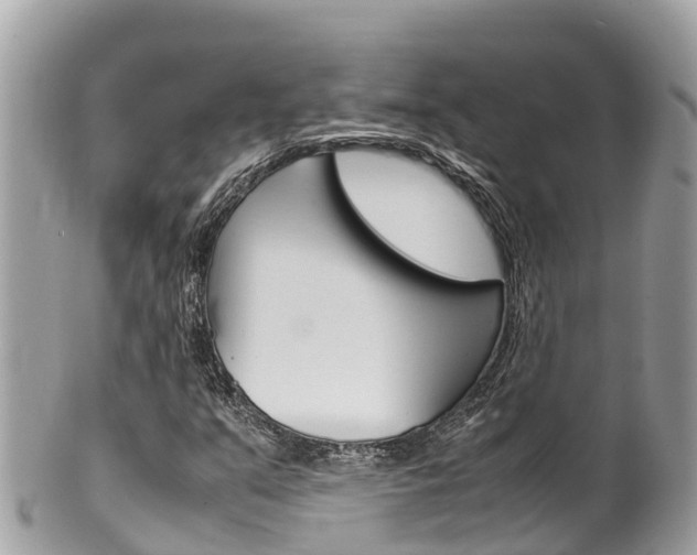 X0000100491351200806130746