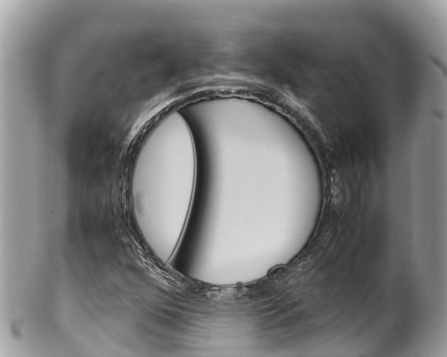 X0000100491352200806130746