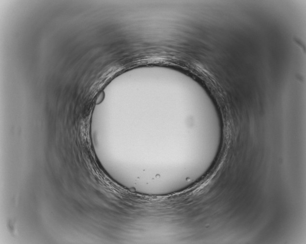 X0000100491353200806130746