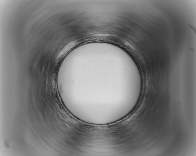 X0000100491354200806130746