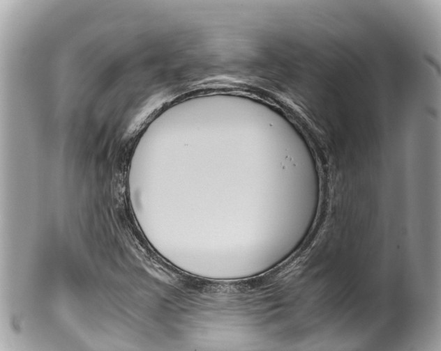 X0000100491355200806130746