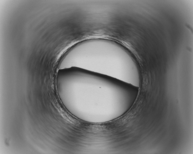 X0000100491356200806130746