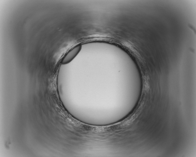 X0000100491357200806130746