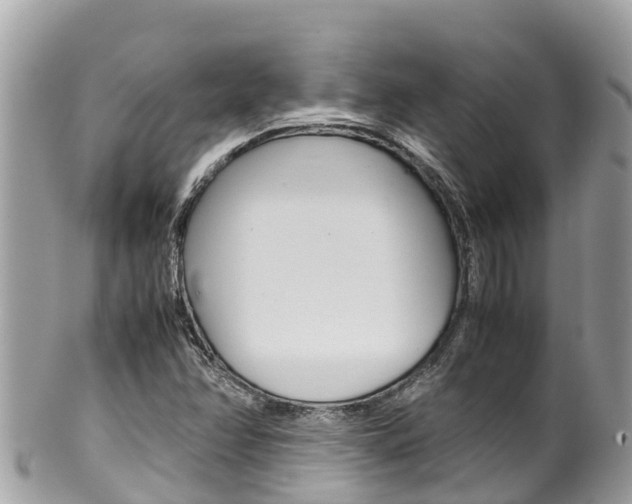 X0000100491358200806130746