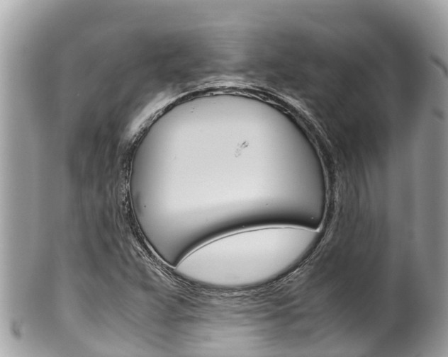 X0000100491359200806130746