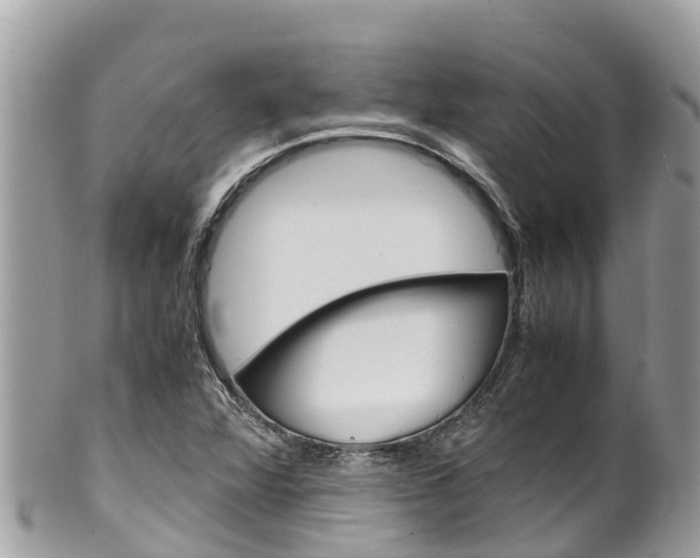 X0000100491360200806130746