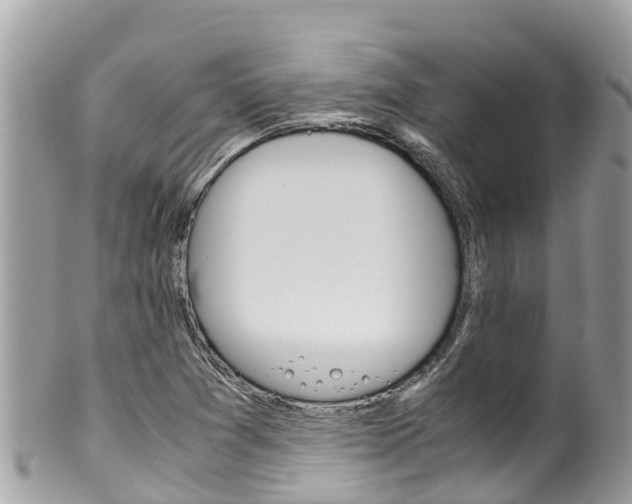 X0000100491361200806130746