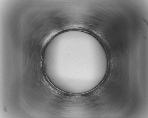 X0000100491363200806130746