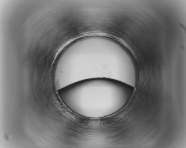X0000100491364200806130746