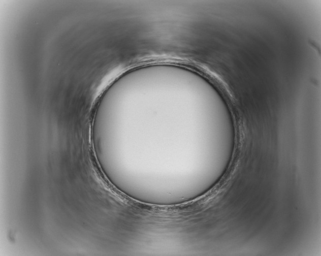 X0000100491365200806130746