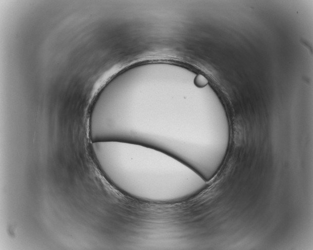 X0000100491366200806130746