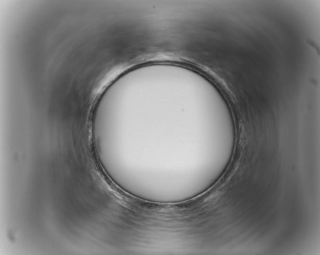X0000100491367200806130746
