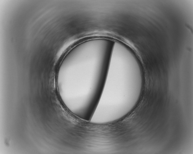 X0000100491368200806130746