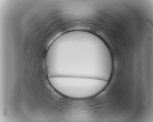 X0000100491369200806130746