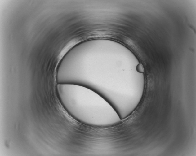 X0000100491370200806130746