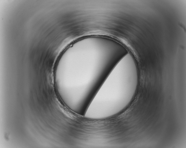 X0000100491372200806130746